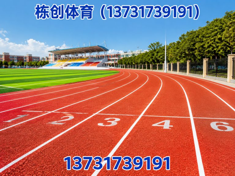 河间市栋创体育展示图